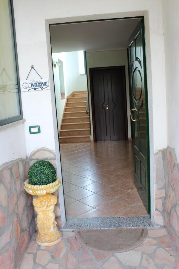 Bed and Breakfast La Collina Santa Maria Del Cedro Exteriér fotografie